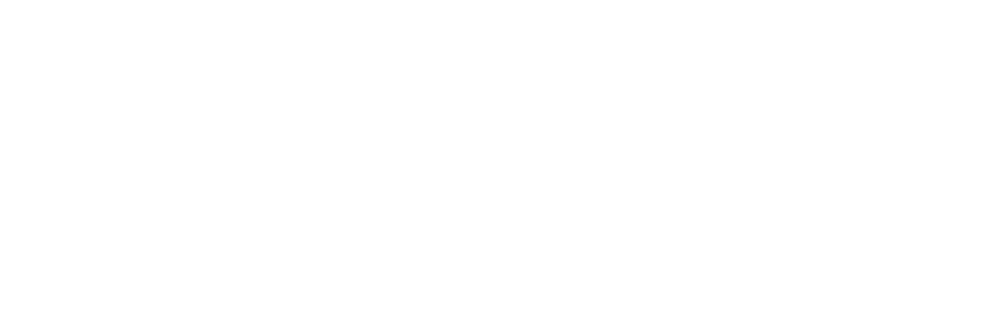 Pryor Property Casualty Life logo white